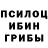 Галлюциногенные грибы мицелий Robert Kirby