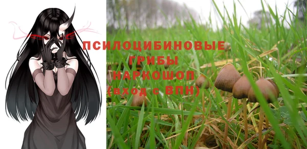 эйфоретик Белокуриха