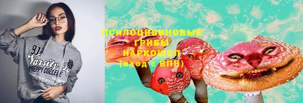 эйфоретик Белокуриха