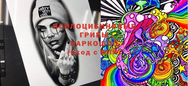 эйфоретик Белокуриха