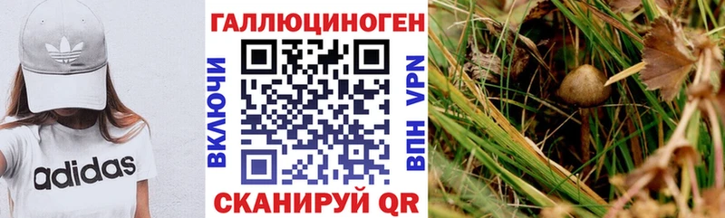 Галлюциногенные грибы GOLDEN TEACHER  hydra вход  Гремячинск 